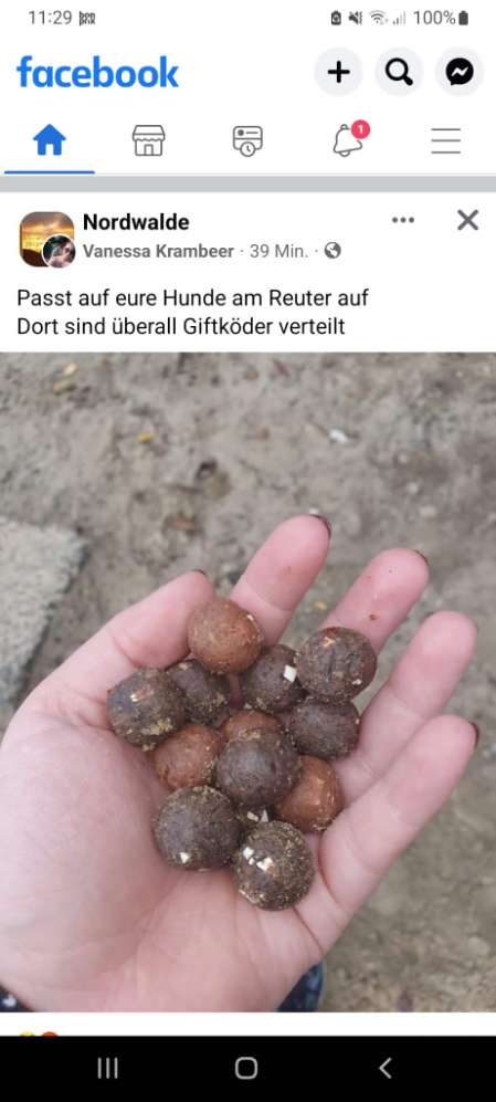 Giftköder-Mogliche Giftköder Stadtwald Langst-Profilbild