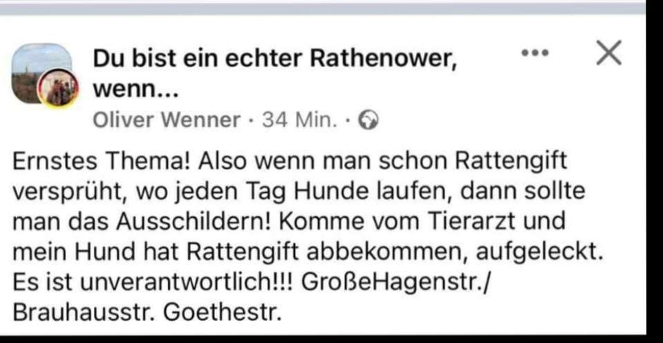 Giftköder-Rattengift-Profilbild