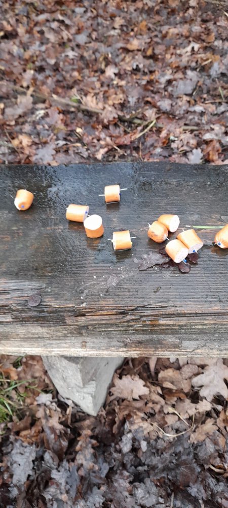 Giftköder-Gespickte Würstchen !!-Profilbild