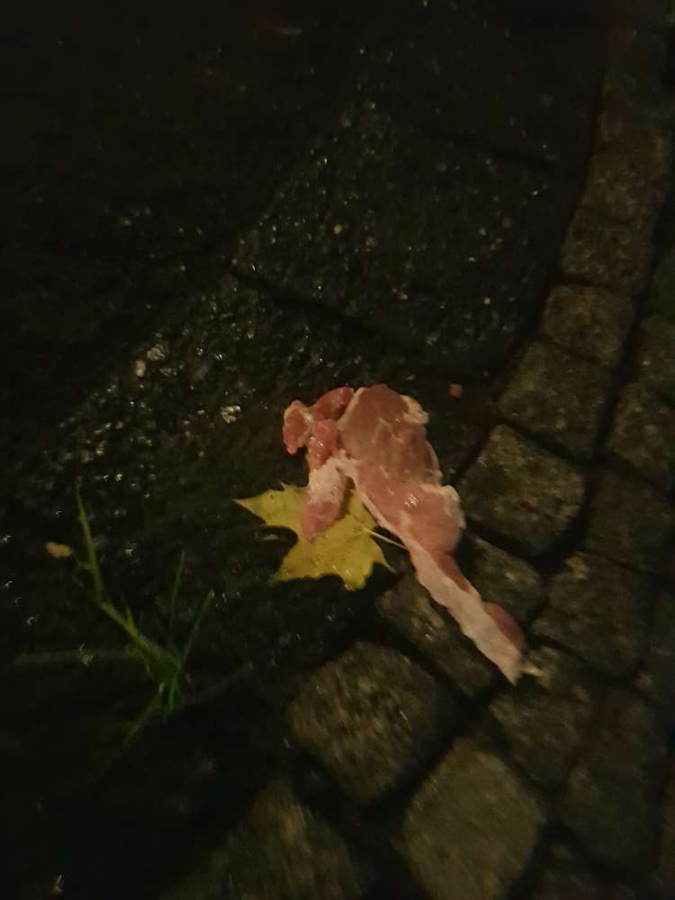 Giftköder-Verteiltes Fleisch-Profilbild