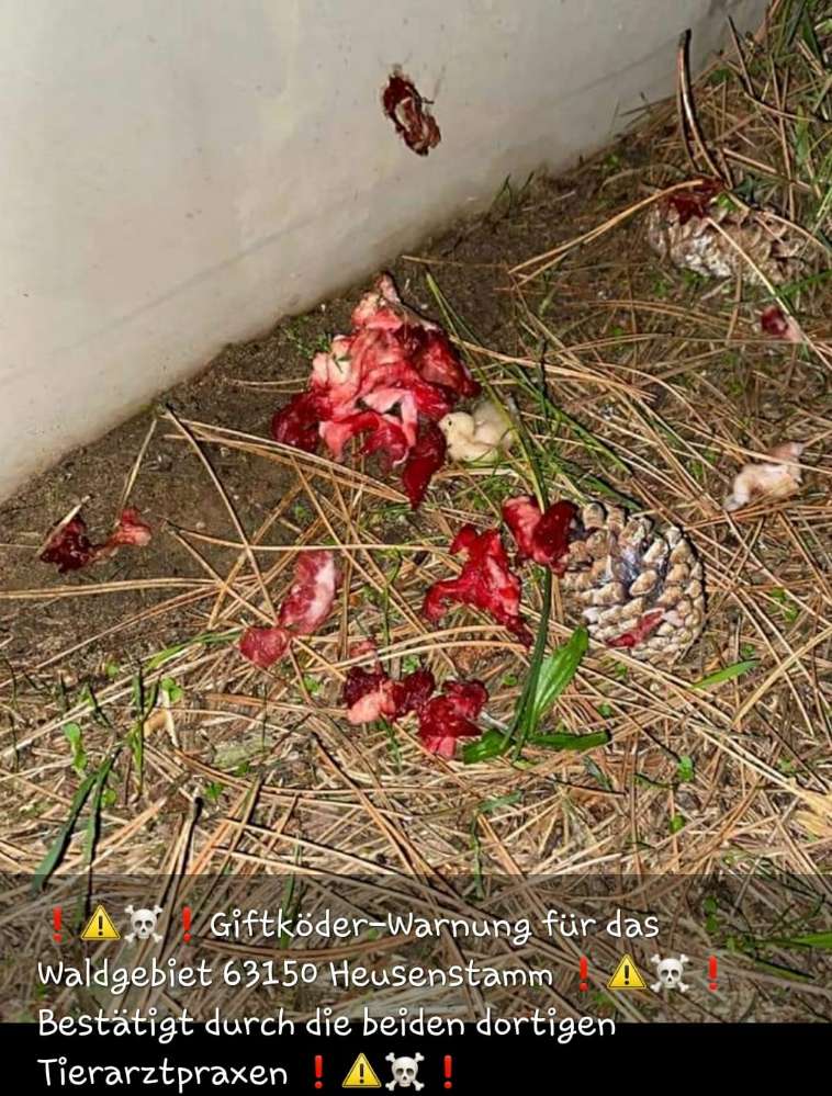 Giftköder-Giftköder-Profilbild