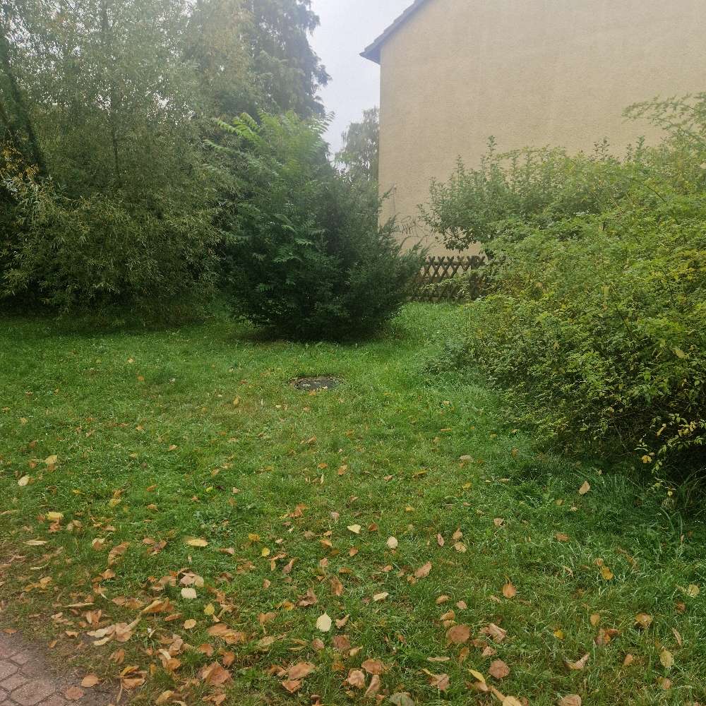 Giftköder-Fleisch unter Tanne vermutlich mit Gift-Profilbild