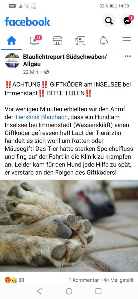 Giftköder-Giftköder am Inselsee-Profilbild
