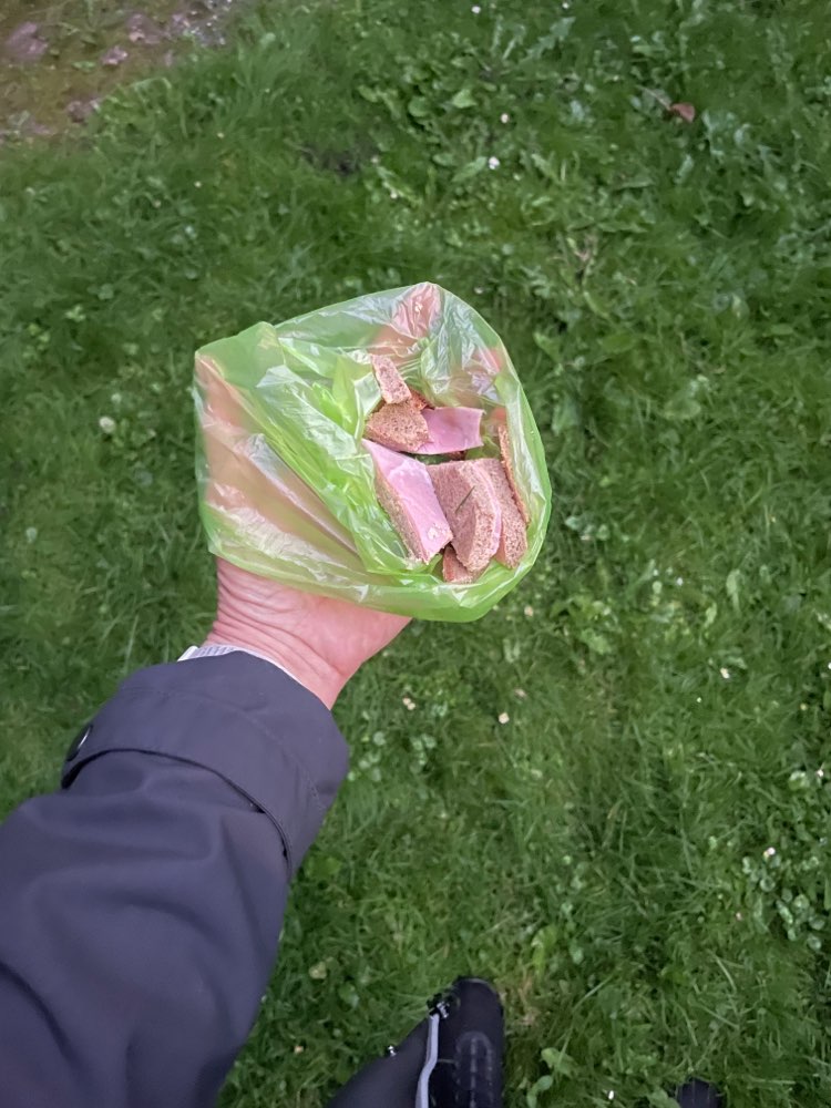 Giftköder-Ausgelegtes Brot mit roter Paste-Profilbild