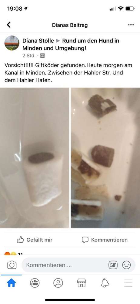 Giftköder-Giftköder-Profilbild