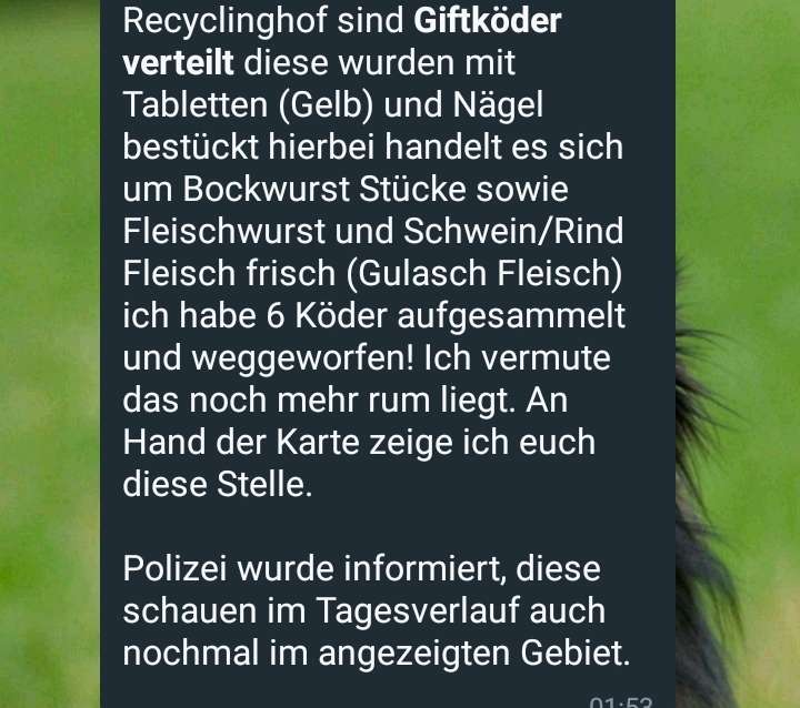 Giftköder-Giftköder mit Nägeln-Profilbild