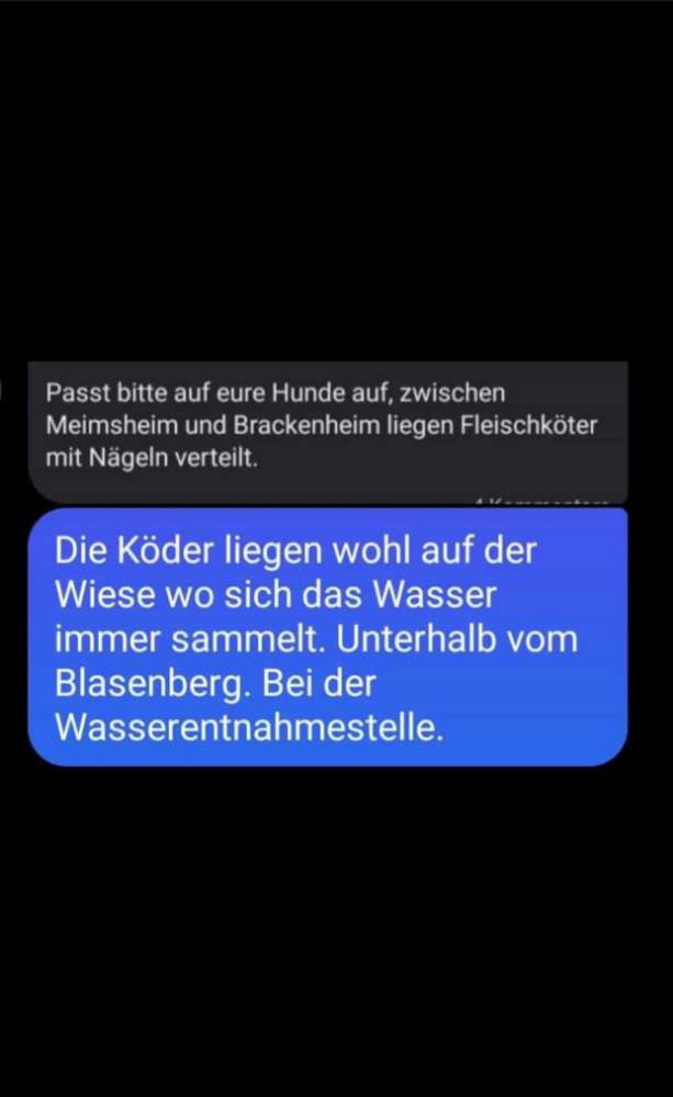 Giftköder-Fleischköder mit Nägeln-Profilbild