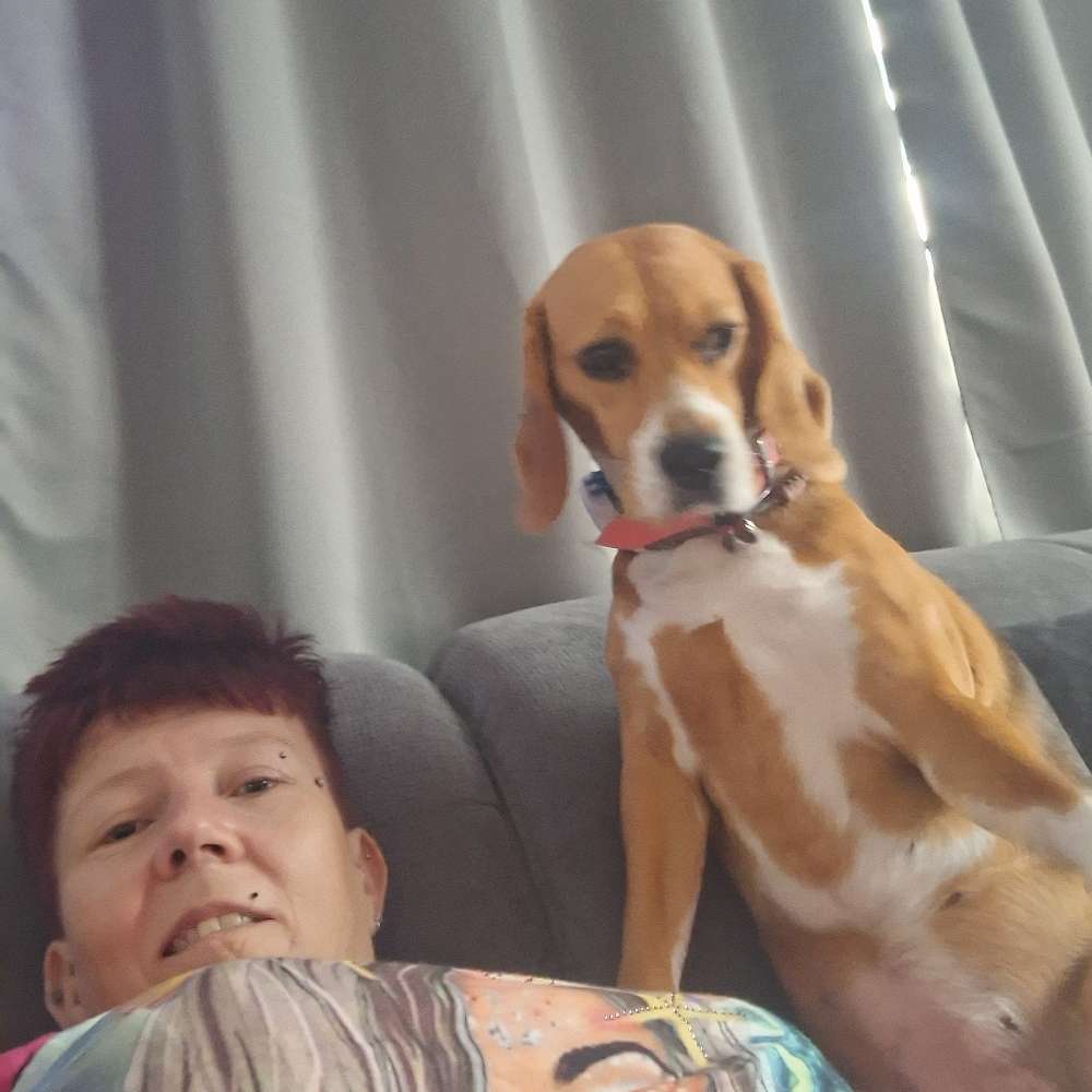 Hundetreffen-Gemeinsame Spaziergänge, allerdings nur mit Leine !! Jagdtrieb-Profilbild