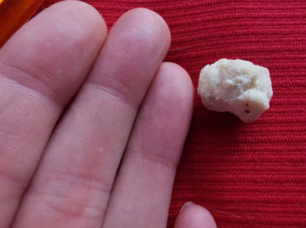 Giftköder-Giftköder-Profilbild