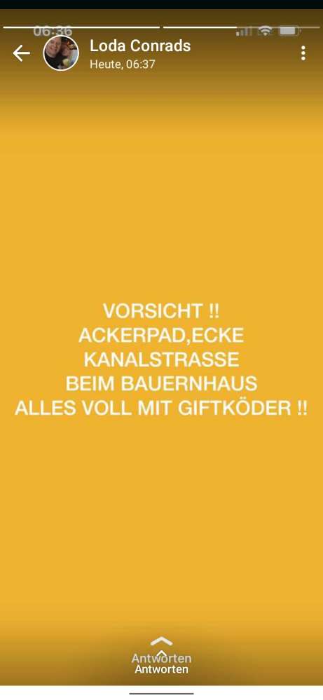 Giftköder-Giftköder-Profilbild