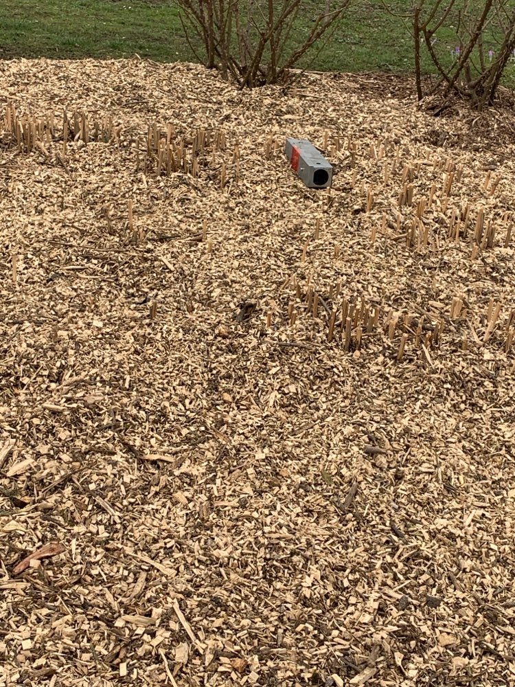 Giftköder-Rattengift-Profilbild