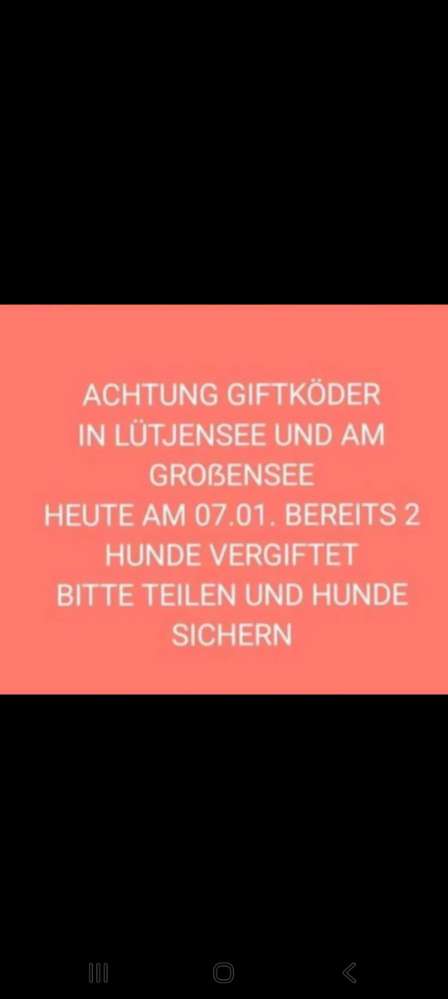Giftköder-Giftköder-Profilbild
