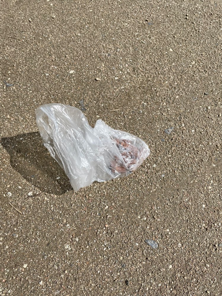 Giftköder-Möglicher Giftköder-Profilbild