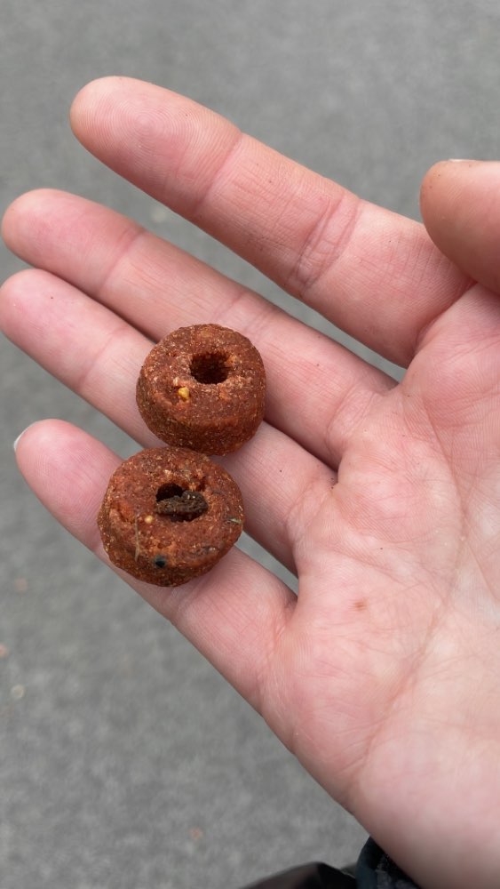 Giftköder-Leckerlis und Wurst ausgelegt-Profilbild