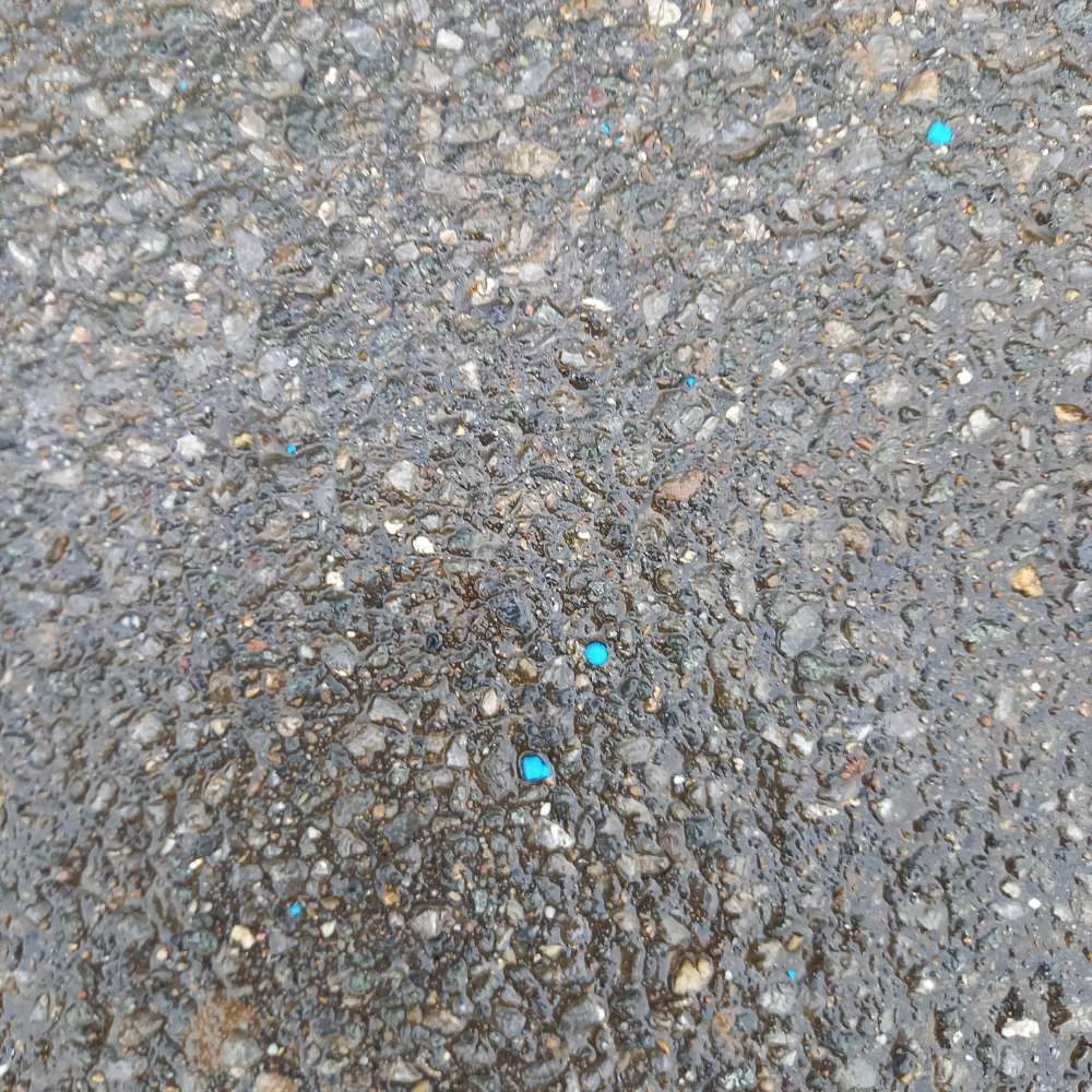 Giftköder-Rattengift verstreut-Profilbild