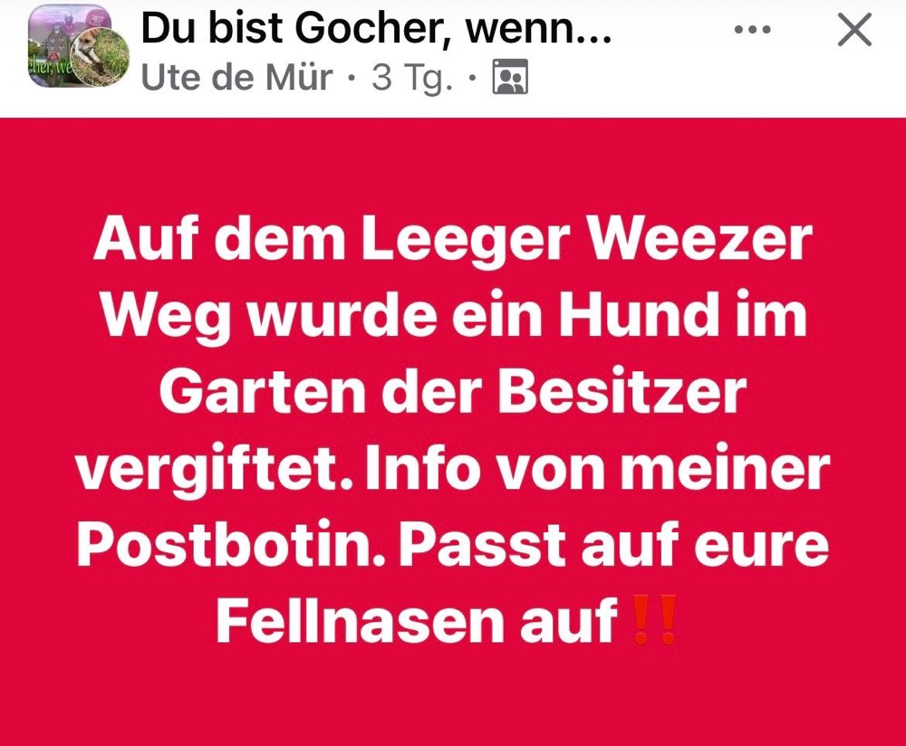 Giftköder-Gift-Profilbild