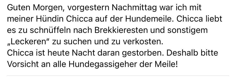 Giftköder-Verstorbener Hund-Profilbild