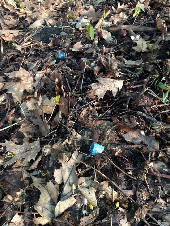 Giftköder-Vermutlich Rattengift-Profilbild