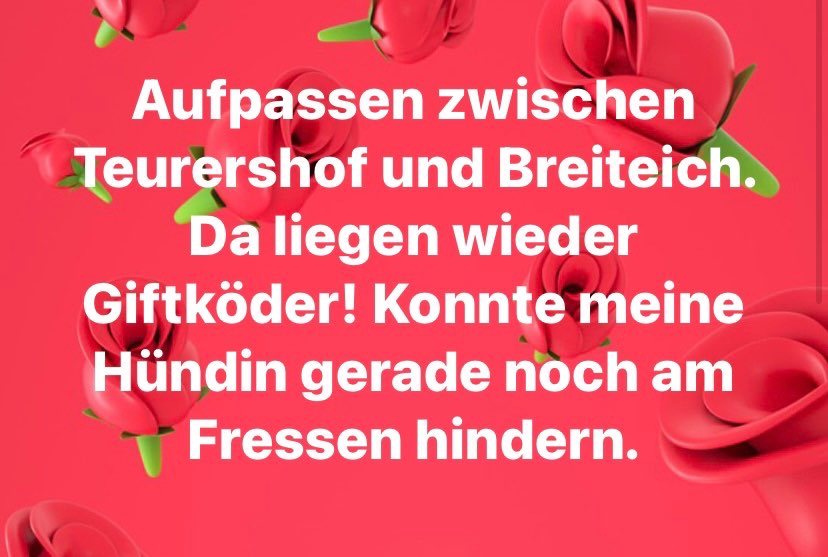 Giftköder-Giftköder-Profilbild