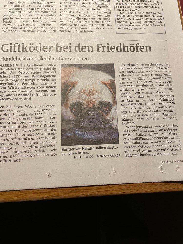 Giftköder-Giftköder-Profilbild