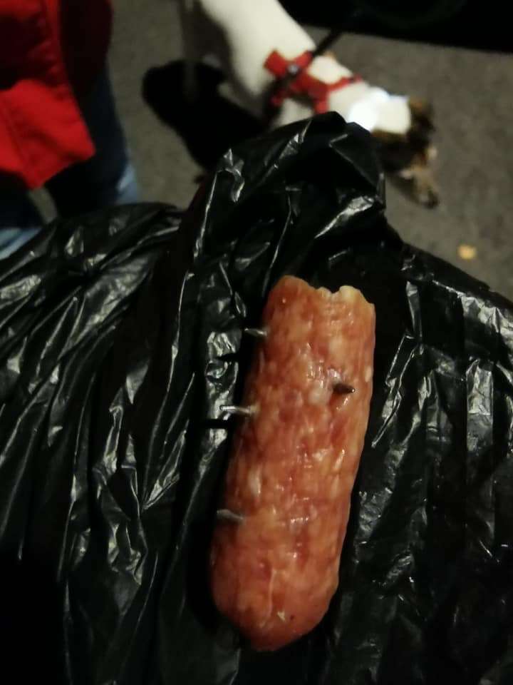 Giftköder-Wurst mit Nägeln-Profilbild