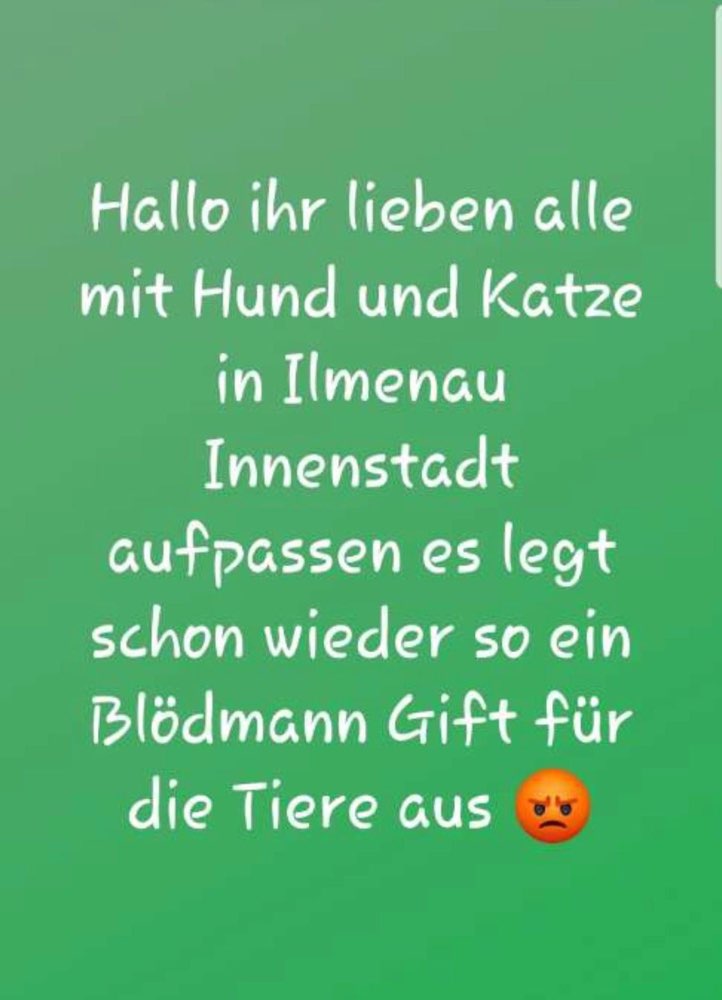 Giftköder-Giftköder-Profilbild