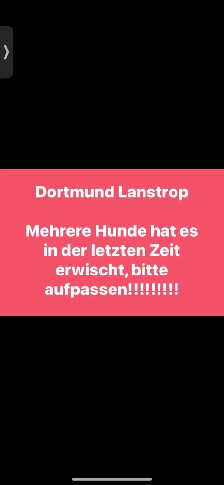 Giftköder-Vergiftete Hunde-Profilbild