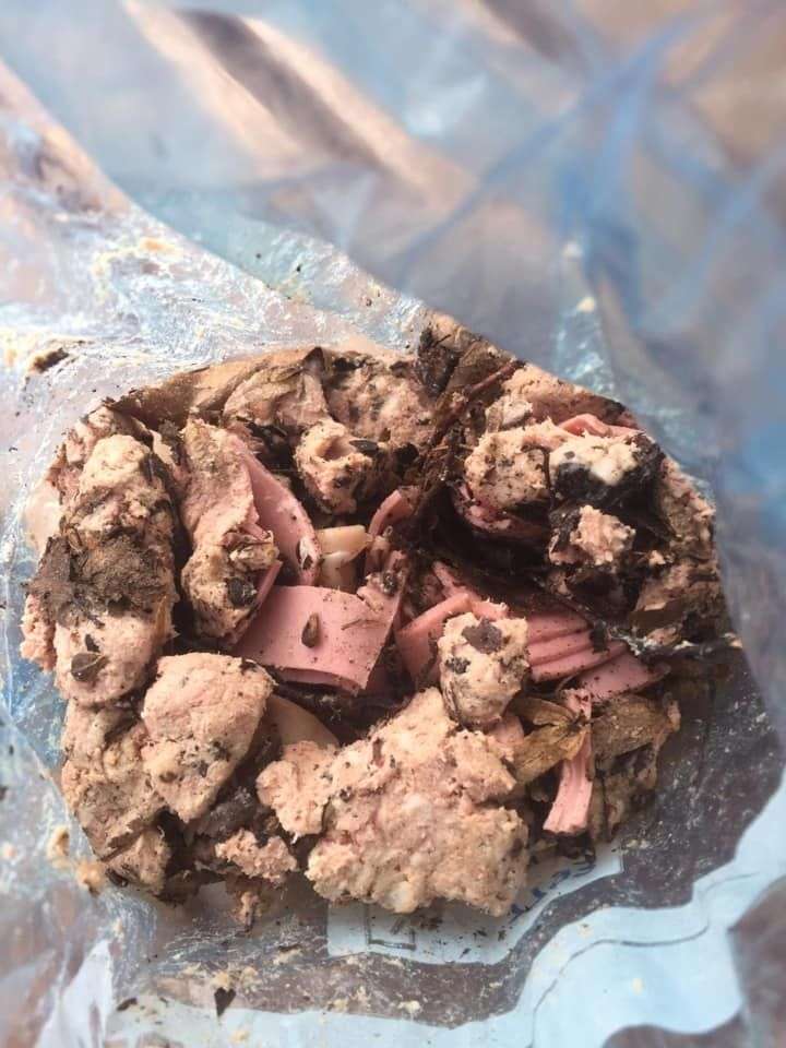 Giftköder-Käse Wurst Köder Zehlendorf-Profilbild