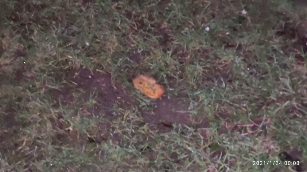 Giftköder-Evt Giftköder-Profilbild