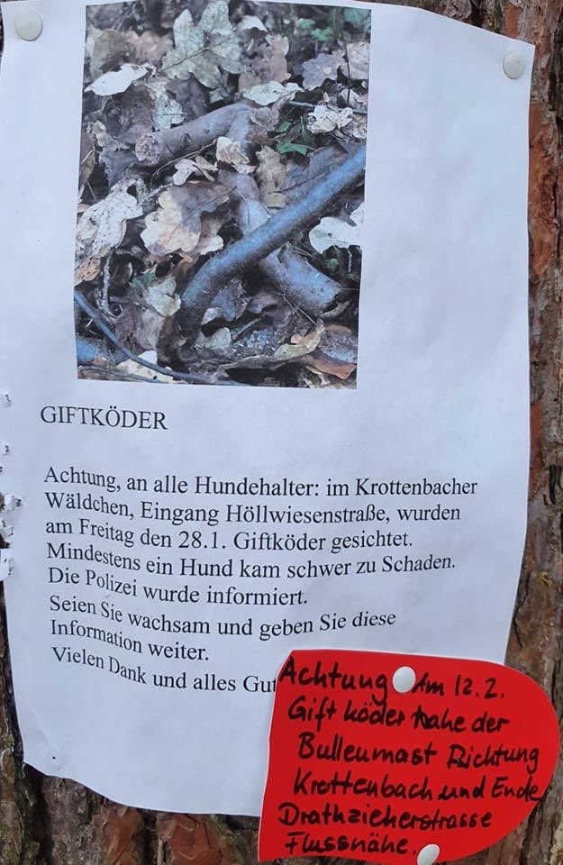 Giftköder-Fleisch mit Rattengift-Profilbild