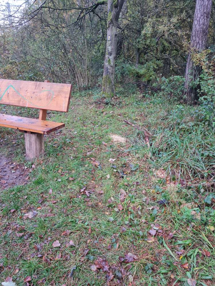 Giftköder-Trockenfutter ausgelegt-Profilbild