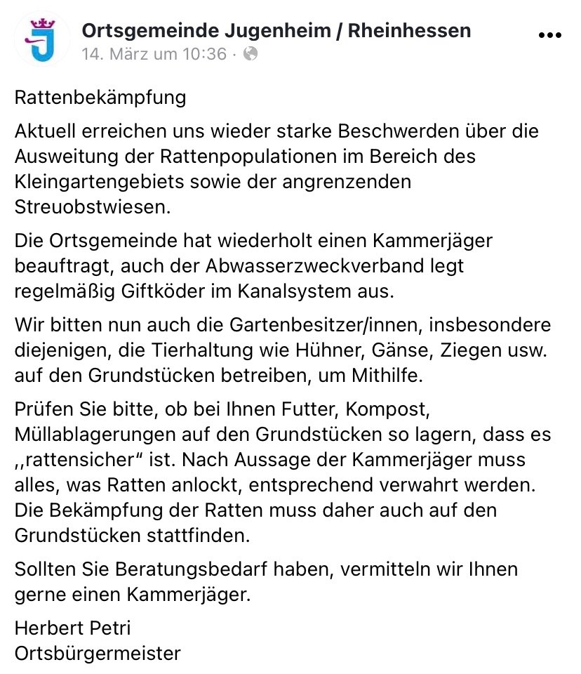 Giftköder-Rattenbekämpfung-Profilbild