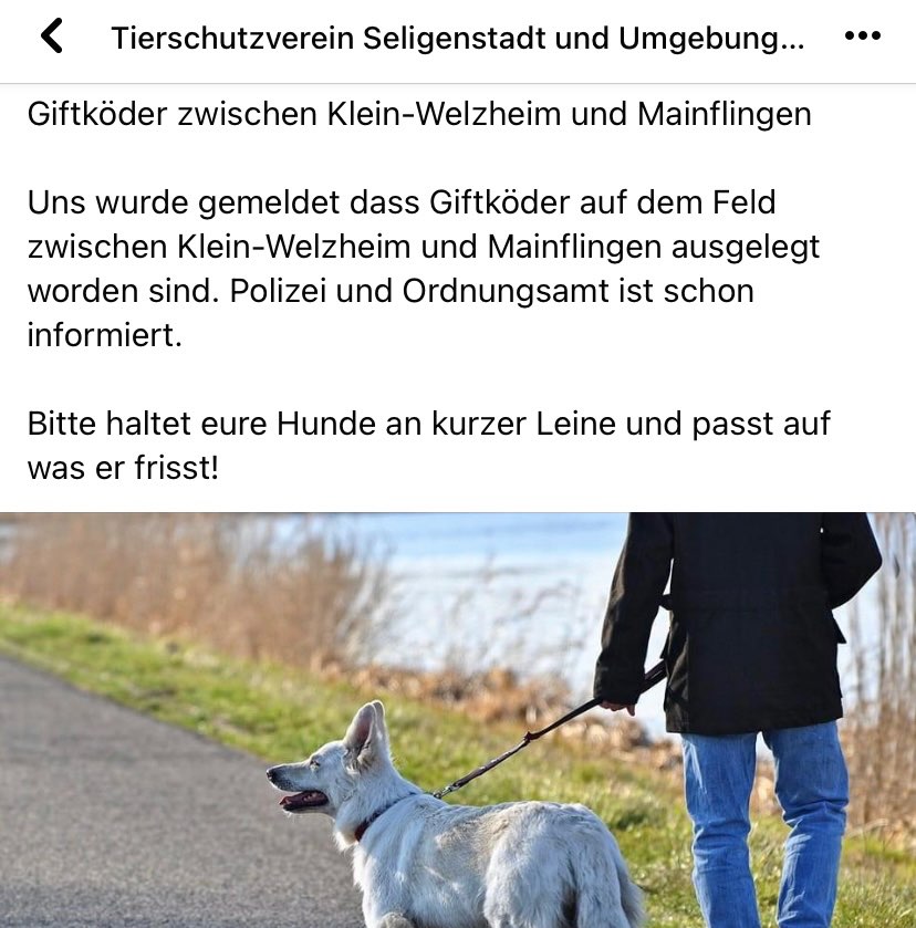 Giftköder-Giftköder-Profilbild