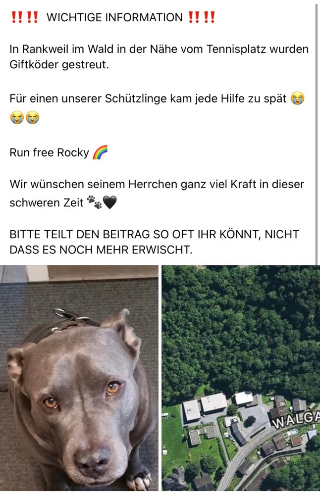 Giftköder-Giftköder-Profilbild