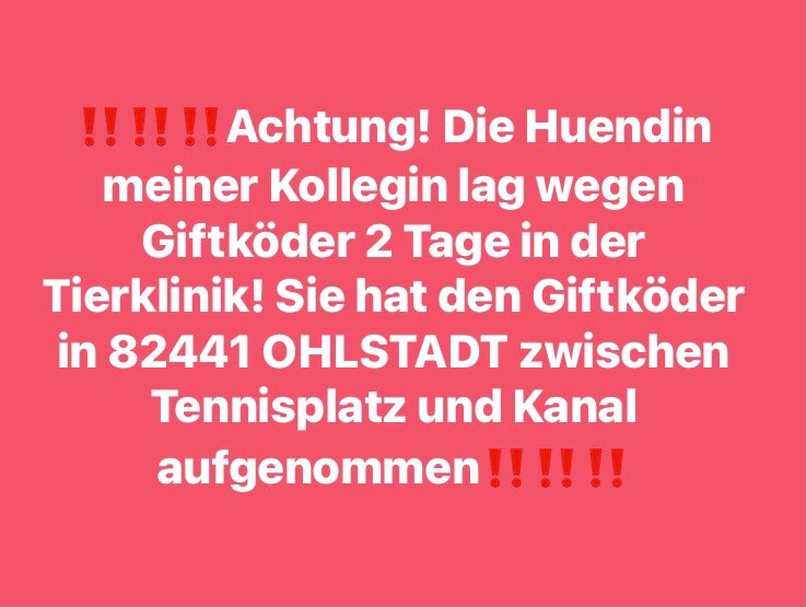 Giftköder-Vergifteter Hund-Profilbild