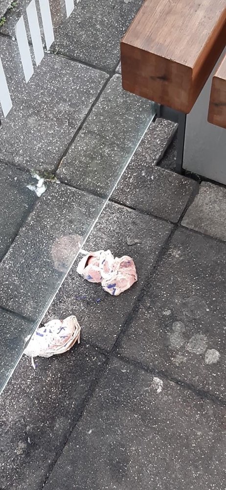 Giftköder-Fleisch mit blauen Punkten-Profilbild