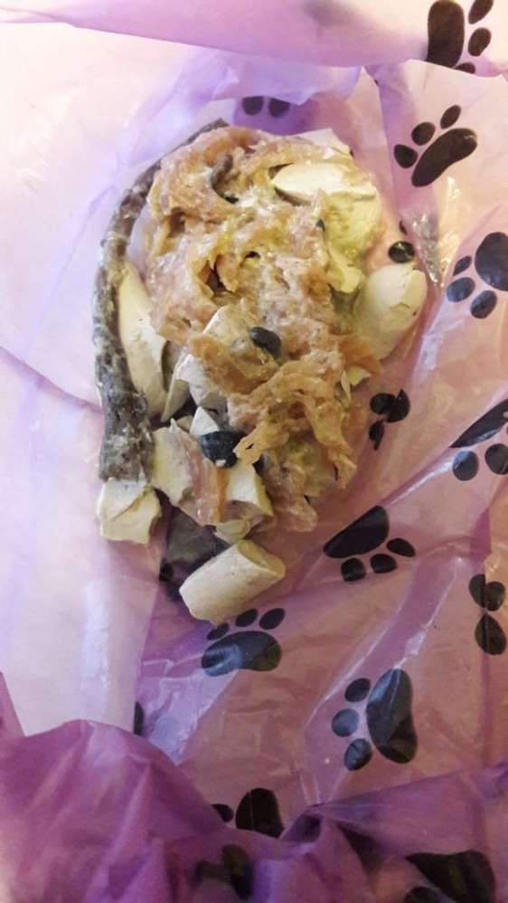 Giftköder-Gift in Fleisch-Profilbild