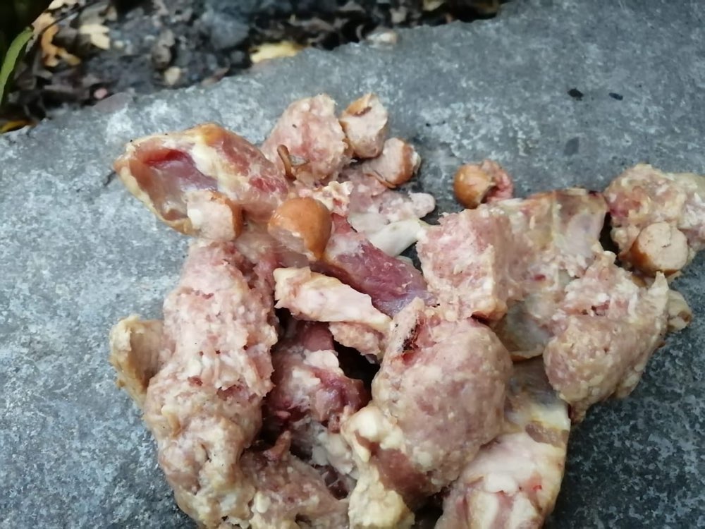 Giftköder-Giftköder-Profilbild