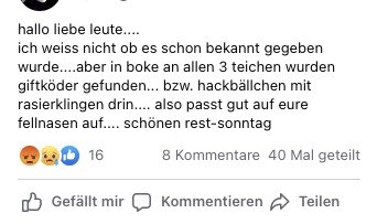 Giftköder-Hackbällchen mit Rasierklingen-Profilbild