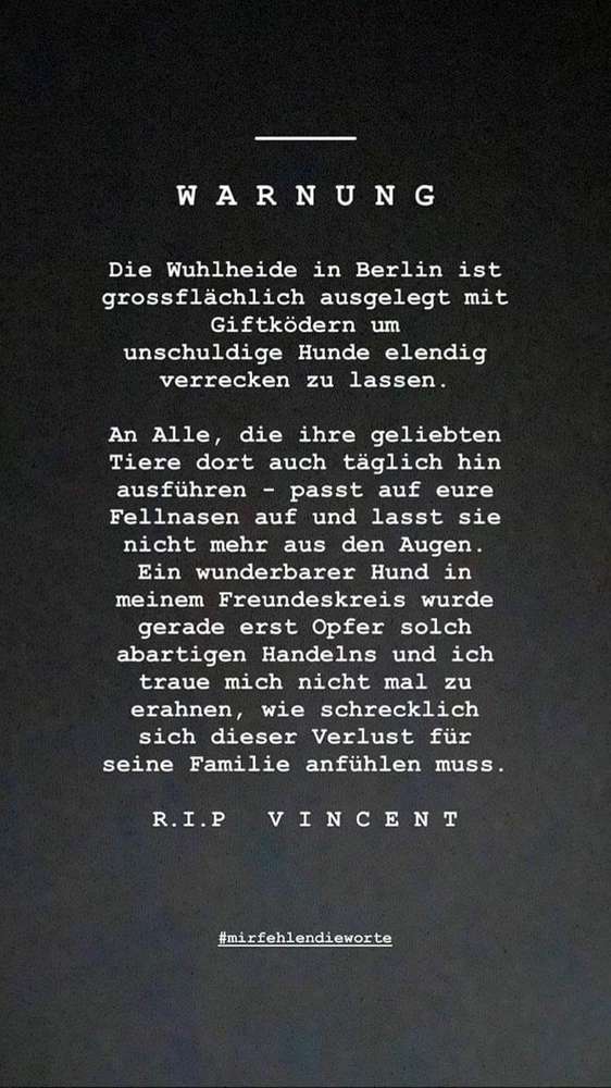 Giftköder-Großflächig Giftköder-Profilbild