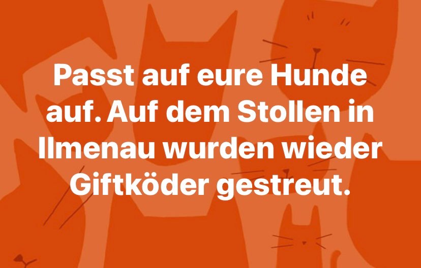 Giftköder-Giftköder-Profilbild