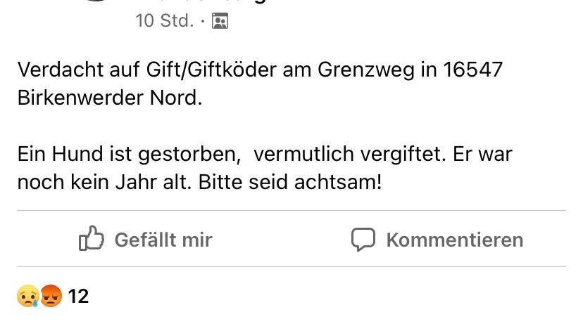 Giftköder-Giftköder - Toter Hund-Profilbild