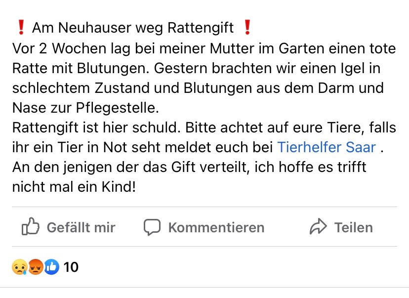 Giftköder-Rattengift-Profilbild