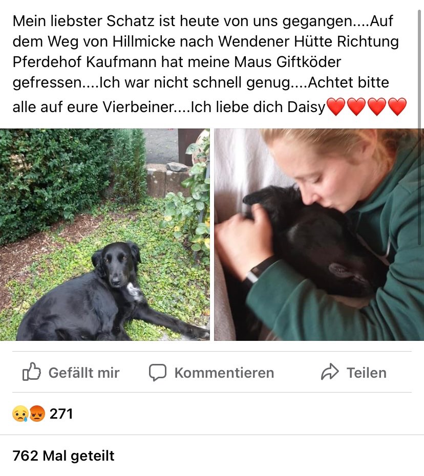 Giftköder-Vergifteter Hund - leider gestorben-Profilbild