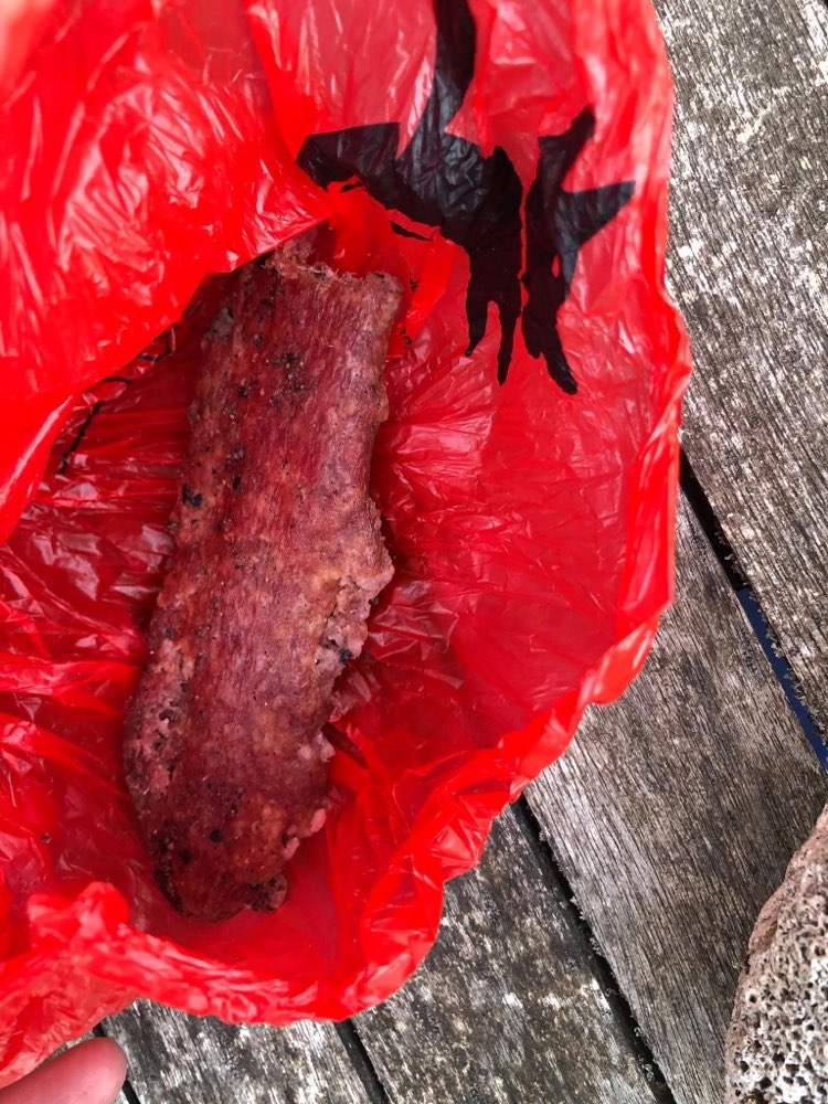 Giftköder-Vermutlicher Giftköder-Profilbild