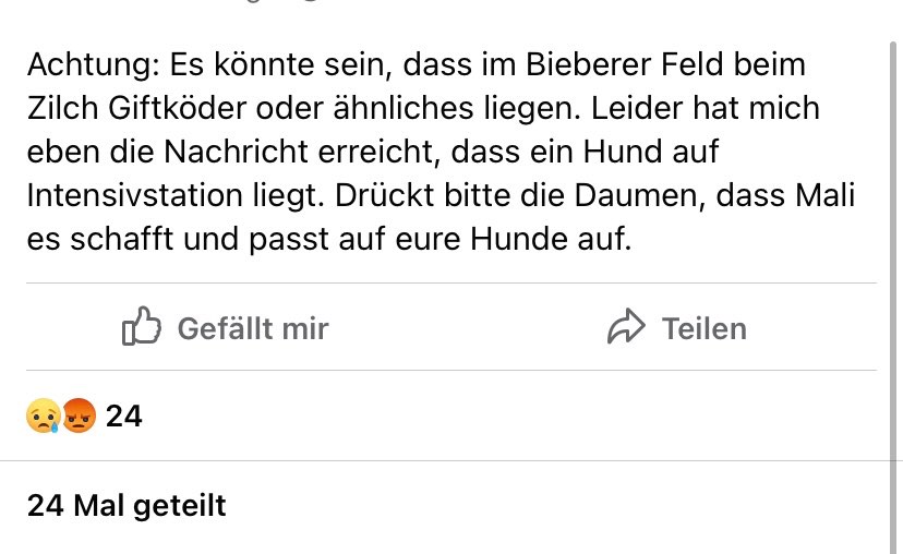 Giftköder-Giftköder-Profilbild