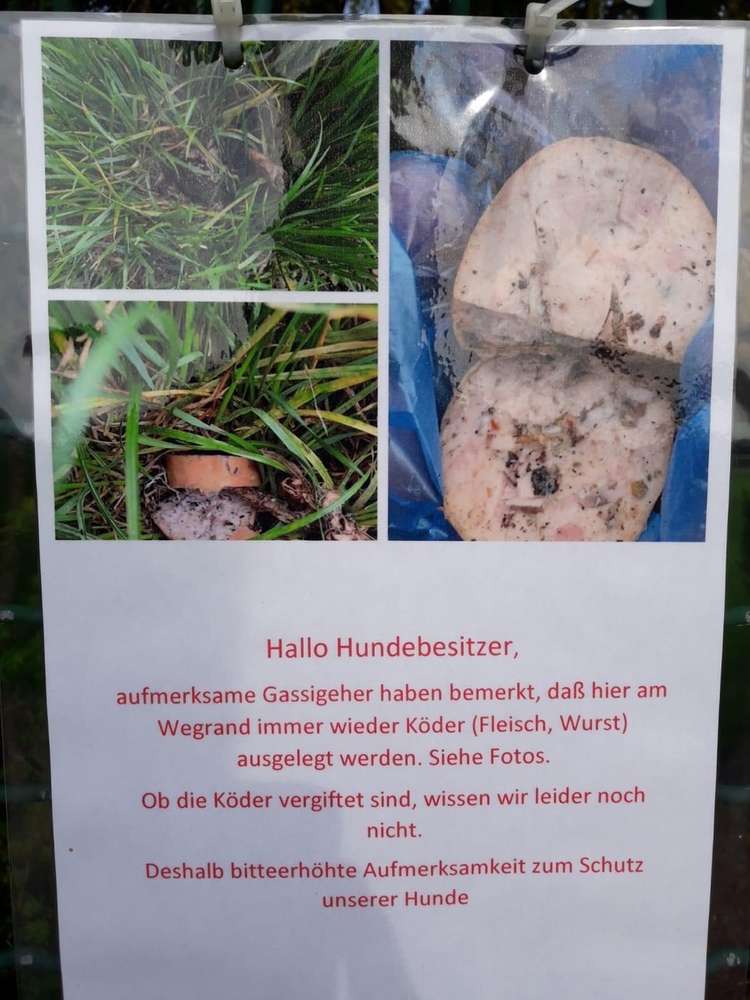 Giftköder-Immer wieder Giftköder-Profilbild