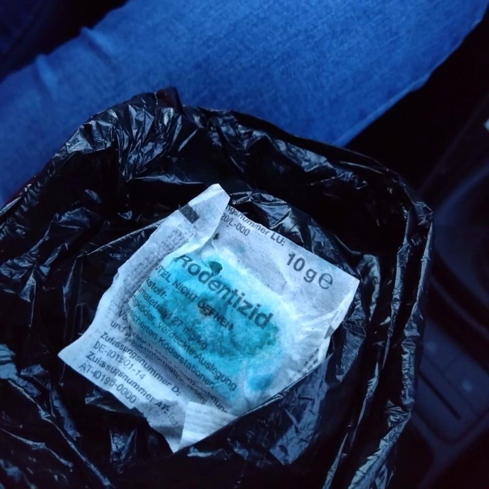 Giftköder-Rattengift-Profilbild