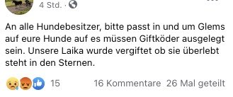 Giftköder-Vergifteter Hund-Profilbild