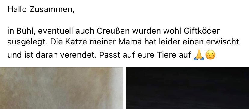 Giftköder-Giftköder-Profilbild